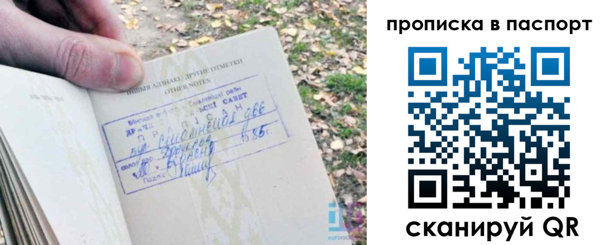 купить прописку в Тосно